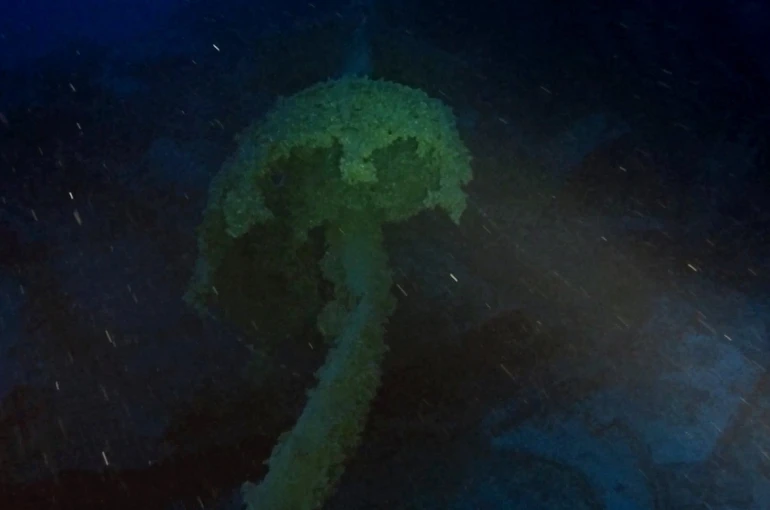 29046387.jpg?v=0 29046387.jpg?v=0