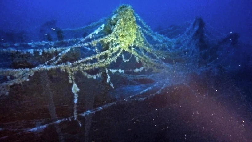 29046388.jpg?v=0 29046388.jpg?v=0