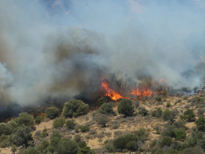 Φωτο: ΑΠΕ-ΜΠΕ/ΑΠΕ-ΜΠΕ/ΝΙΚΟΣ ΧΑΛΚΙΑΔΑΚΗΣ