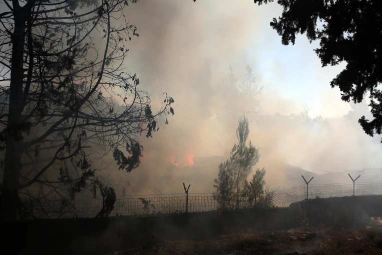Φωτο: ΑΠΕ-ΜΠΕ/Αλέξανδρος Μπελτές