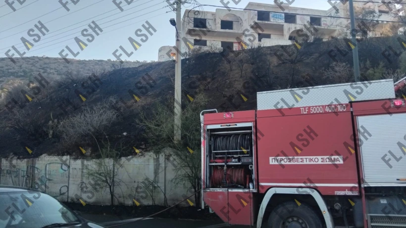 Φωτιά σε πλαγιά στο Λαγονήσι Φωτιά σε πλαγιά στο Λαγονήσι