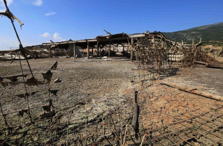 φωτογραφία: ΚΥΔΩΝΑΣ ΓΙΩΡΓΟΣ - ΙΝΤΙΜΕ