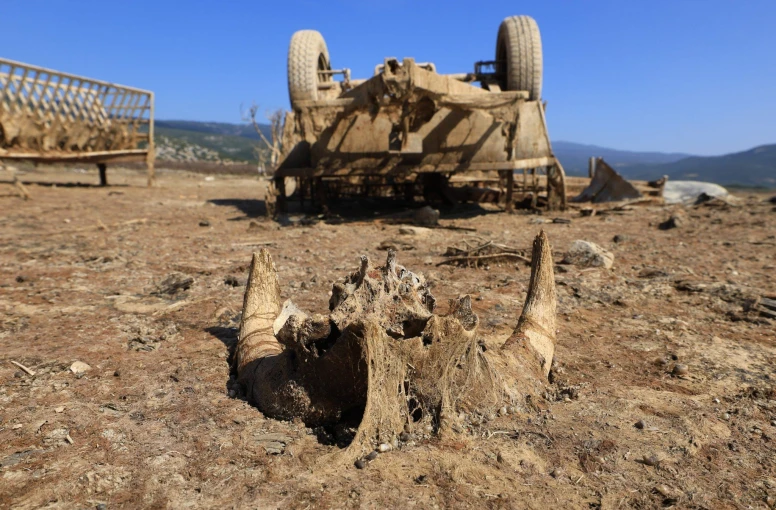 φωτογραφία: ΚΥΔΩΝΑΣ ΓΙΩΡΓΟΣ - ΙΝΤΙΜΕ