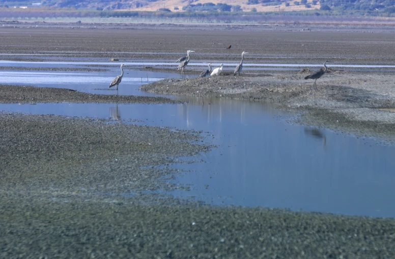 φωτογραφία: ΚΥΔΩΝΑΣ ΓΙΩΡΓΟΣ - ΙΝΤΙΜΕ