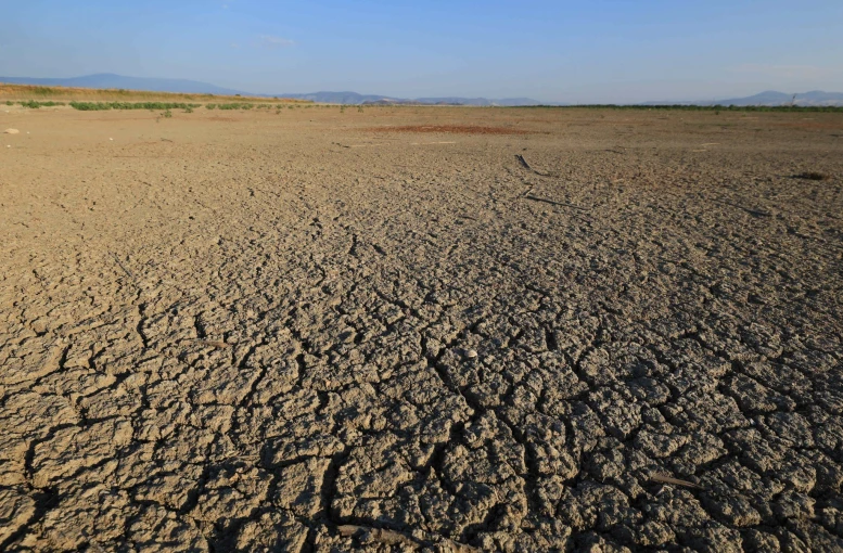 φωτογραφία: ΚΥΔΩΝΑΣ ΓΙΩΡΓΟΣ - ΙΝΤΙΜΕ