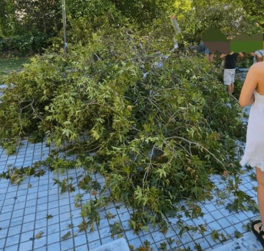 thestival.gr thestival.gr