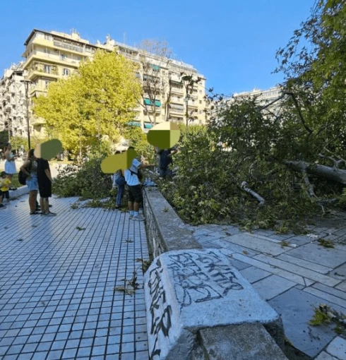 thestival.gr thestival.gr