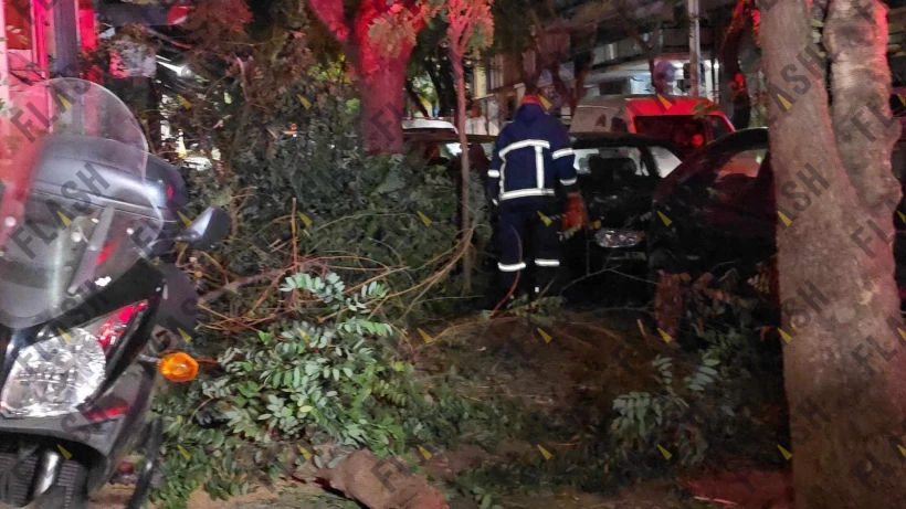 whatsapp-image-2024-09-30-at-064855.jpeg?v=1