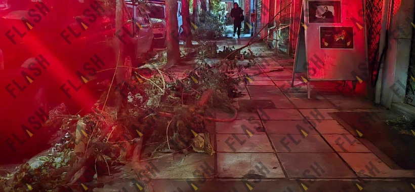 whatsapp-image-2024-09-30-at-064857.jpeg?v=1