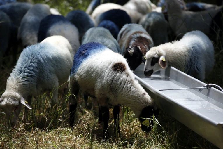 Φωτο αρχείου: Eurokinissi