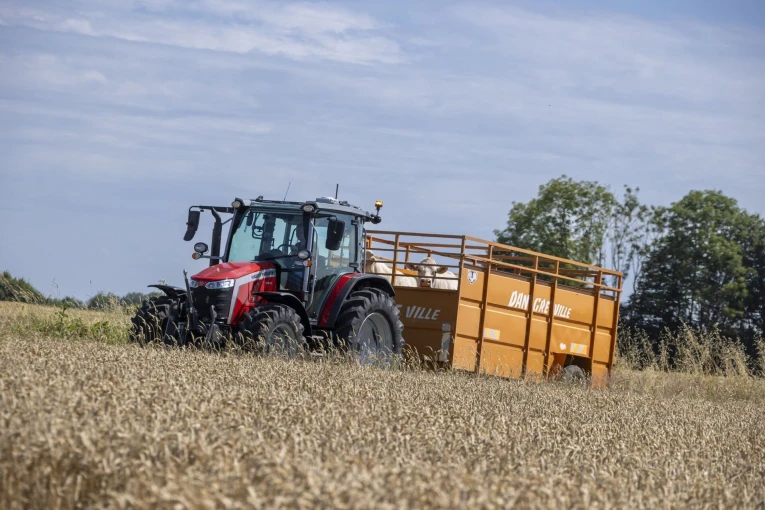 mf5m-cattletrailer-transport-fr-0724-1605.jpg?v=0