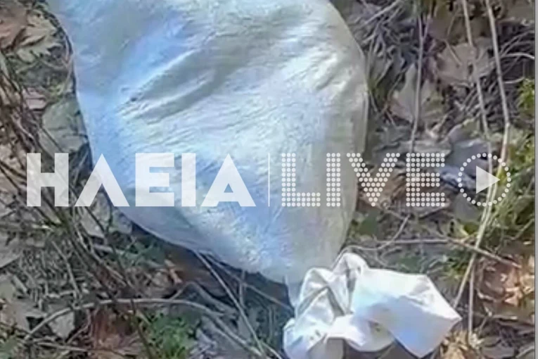 πηγή: IliaLive πηγή: IliaLive