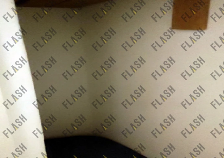 whatsapp-image-2024-12-06-at-195850.jpeg?v=1