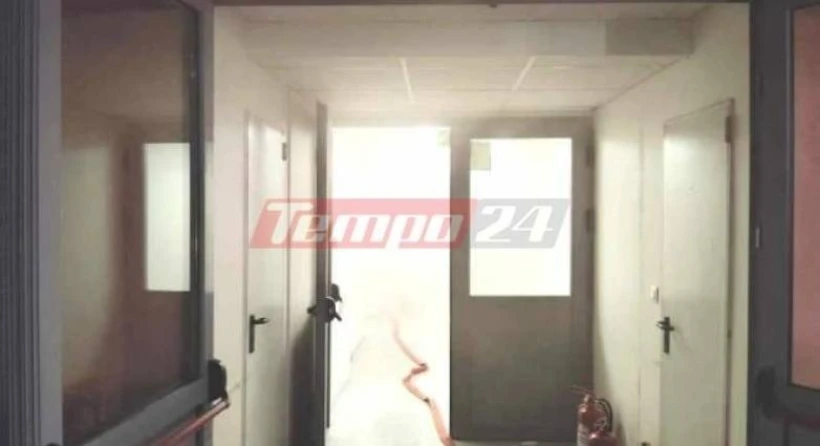 Φωτό: tempo24.news.gr