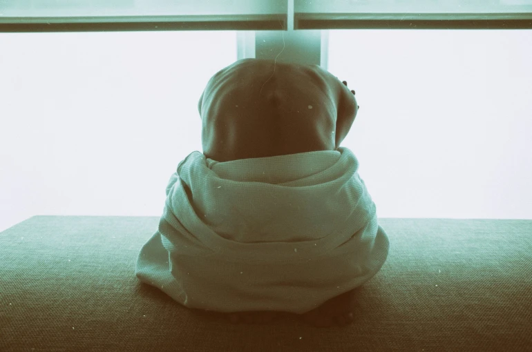 Unsplash Unsplash