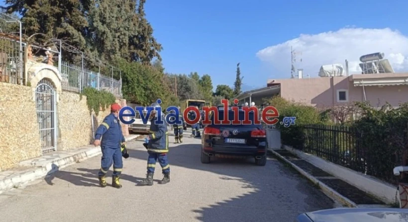 Eviaonline.gr Eviaonline.gr