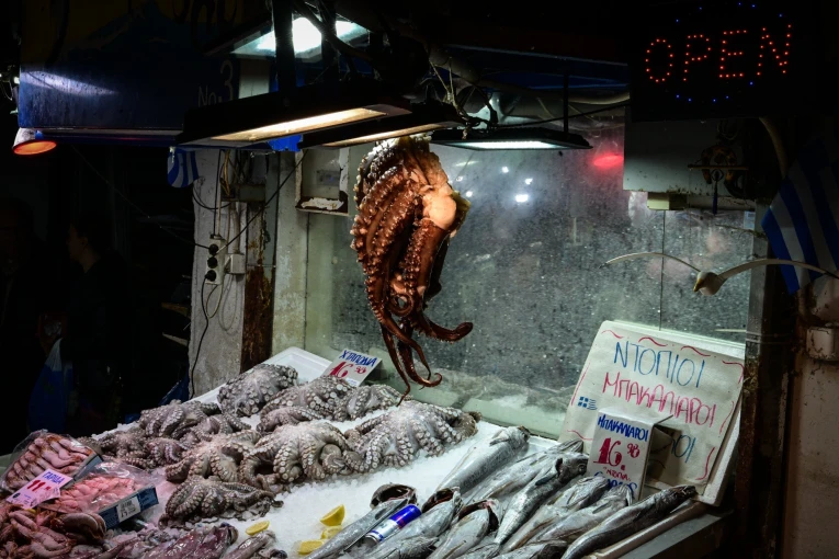 Τατιάνα Μπόλαρη, Eurokinissi