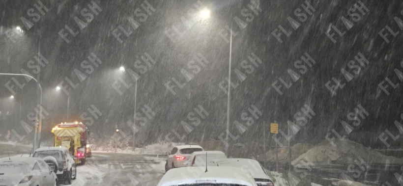 whatsapp-image-2025-04-07-at-063737-1.jpeg?v=1