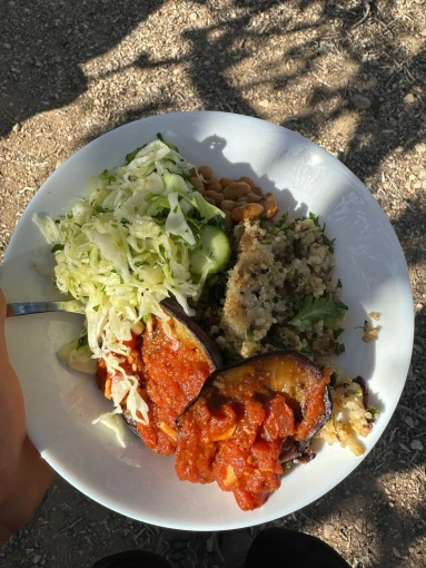 img-20250417-wa0010.jpg?v=0