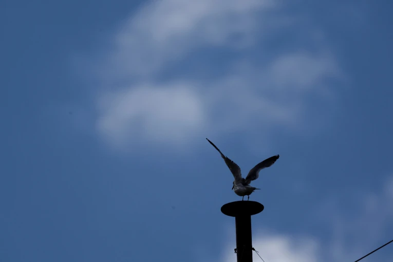 Φωτο: REUTERS/Yara Nardi