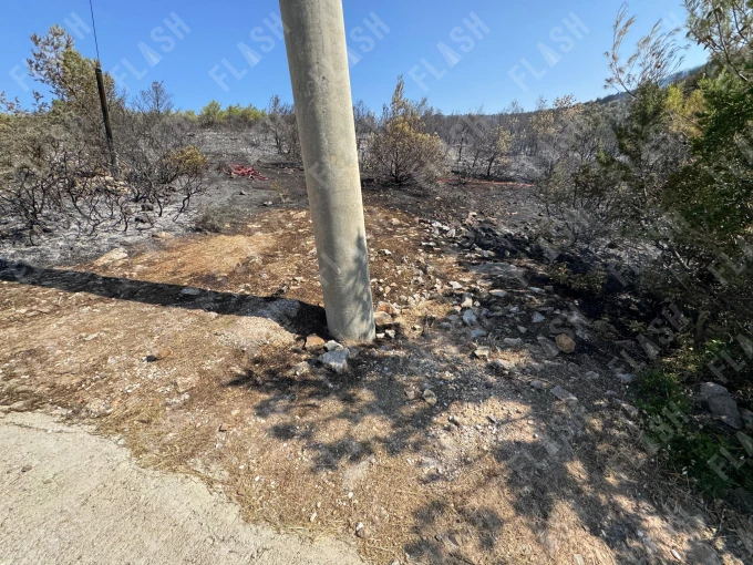 Φωτο: Γιάννης Κέμμος/Flash.gr Φωτο: Γιάννης Κέμμος/Flash.gr
