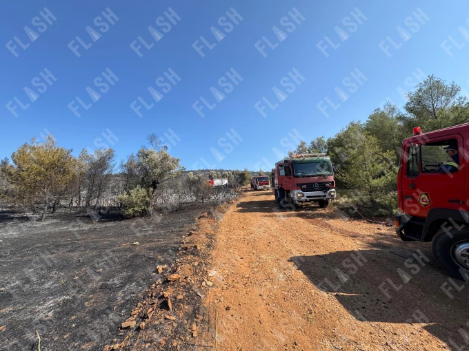Φωτο: Γιάννης Κέμμος/Flash.gr Φωτο: Γιάννης Κέμμος/Flash.gr