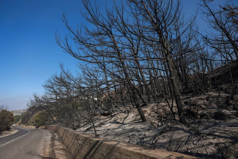 Εικόνα από τη φωτια στην Ιεράπετρα (φωτο: Eurokinissi)