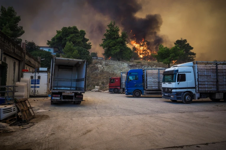 Φωτό: ΘΕΟΔΩΡΟΣ ΝΙΚΟΛΑΟΥ/EUROKINISSI Φωτό: ΘΕΟΔΩΡΟΣ ΝΙΚΟΛΑΟΥ/EUROKINISSI