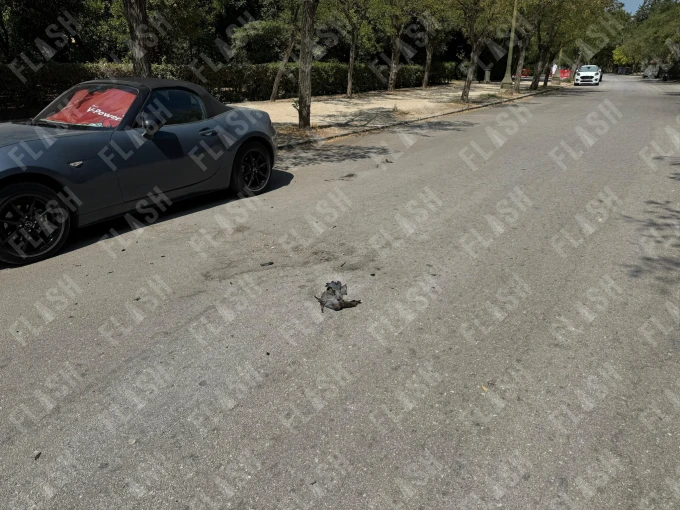 Φωτογραφία: Γιάννης Κέμμος/flash.gr