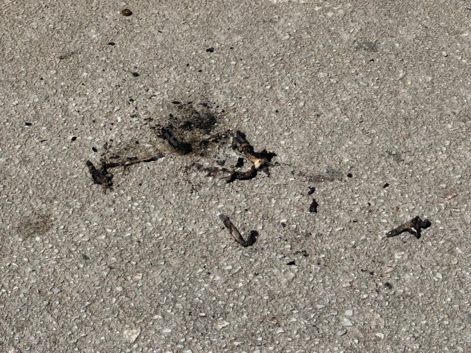 Φωτογραφία: Γιάννης Κέμμος/flash.gr