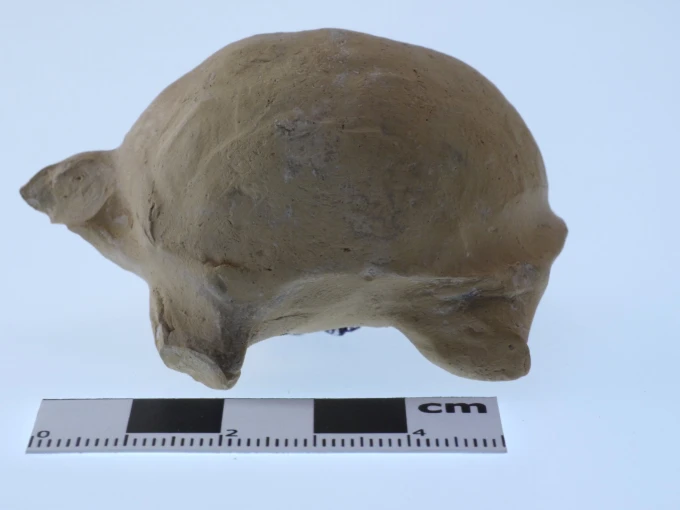 Εικ. 6: Πήλινο ειδώλιο χελώνας. 