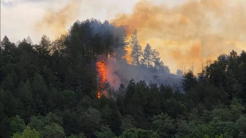 GREVENIOTIS.GR&nbsp;