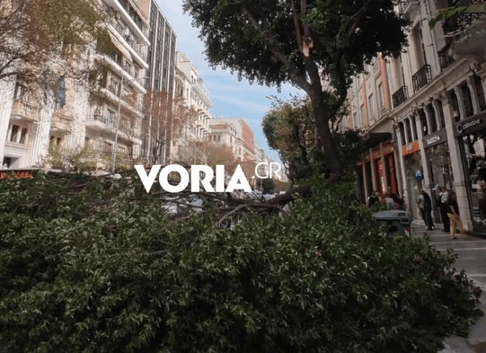 Πηγή: voria.gr Πηγή: voria.gr