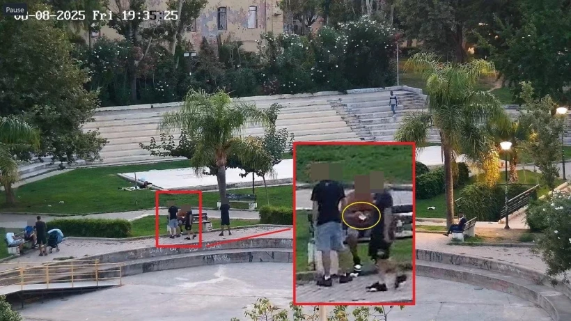 mafia-kriti-5.jpeg?v=0