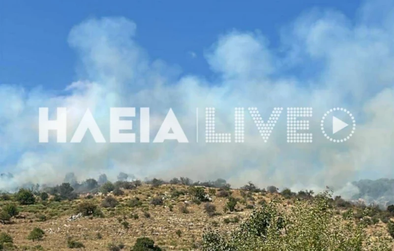 Φωτ.: ilialive.gr