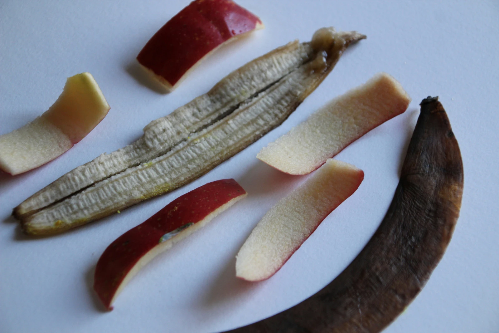 Filippo Castegnaro/Unsplash
