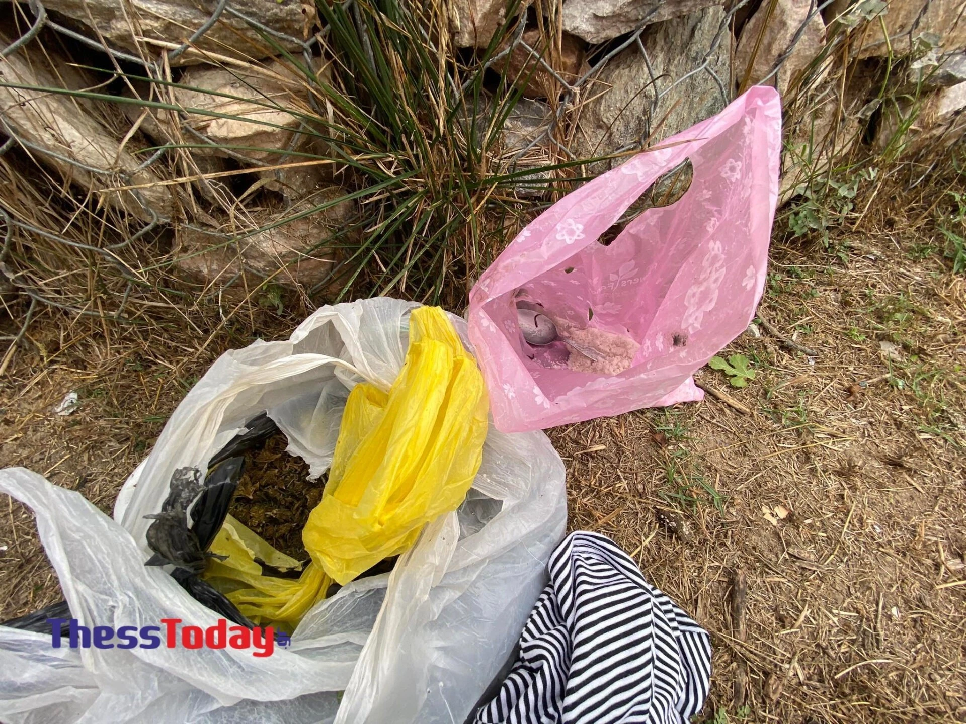 Ναρκωτικά σε κοινή θέα/φωτό thesstoday.gr