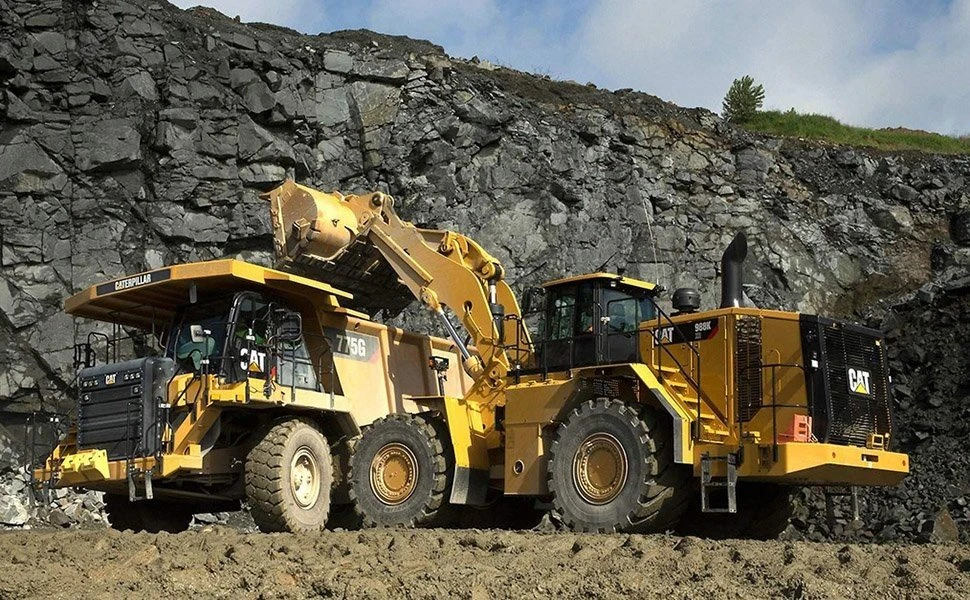 cat7.jpg