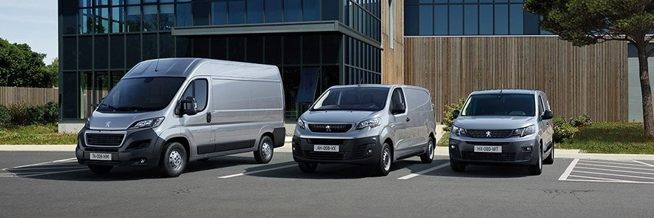 pgt-lcv.jpg pgt-lcv.jpg