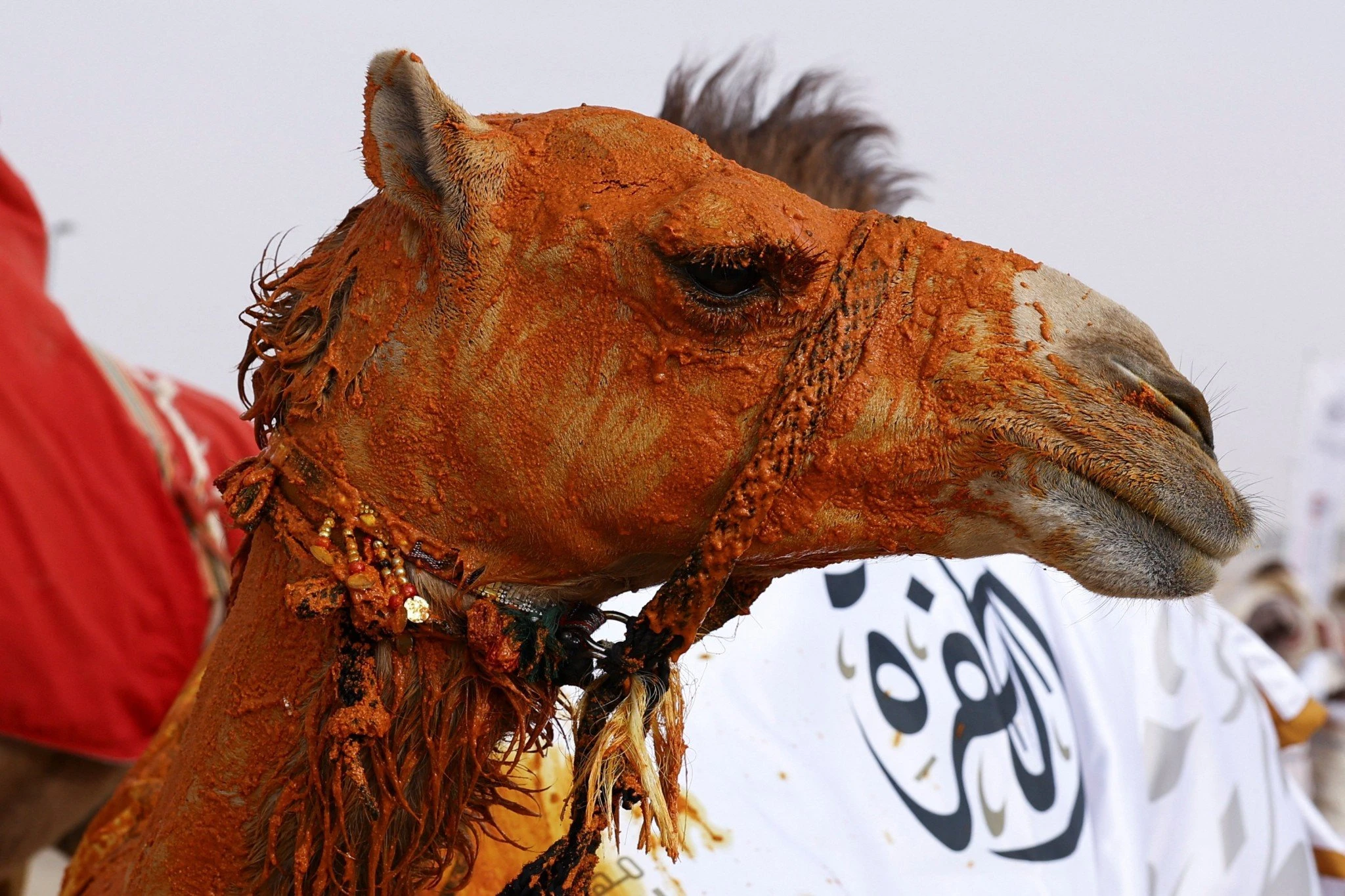 Reuters