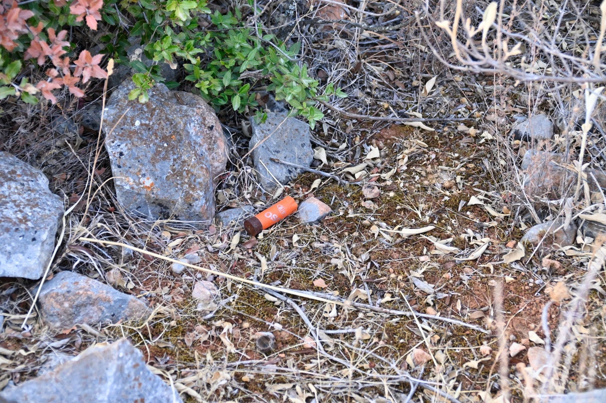 Υλική-Φωτογραφία Γιάννης Κέμμος /Flash.gr Υλική-Φωτογραφία Γιάννης Κέμμος /Flash.gr