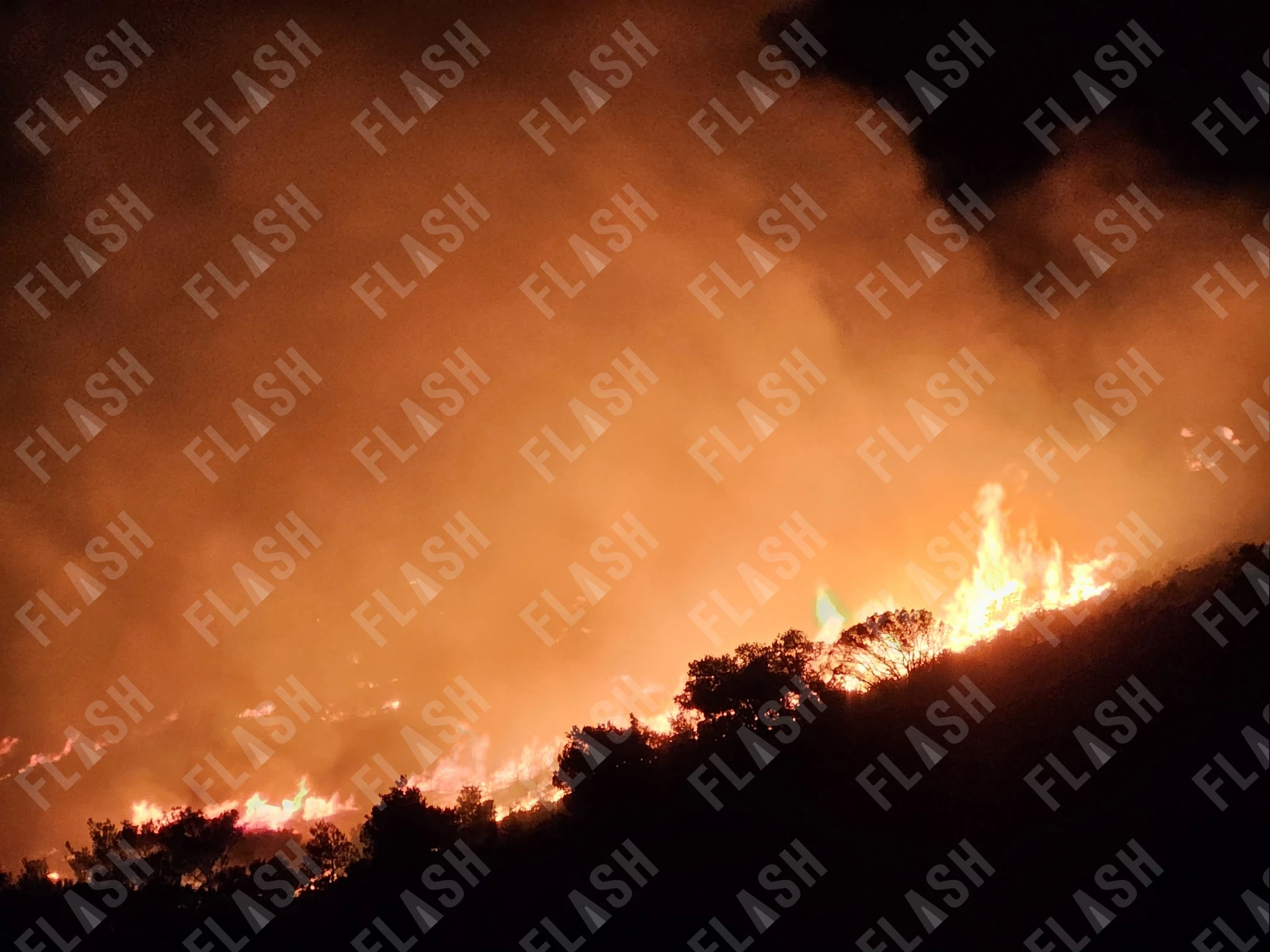 Φωτο: Flash.gr/Γιάννης Κέμμος