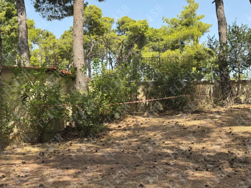 Flash.gr/Γιάννης Κέμμος