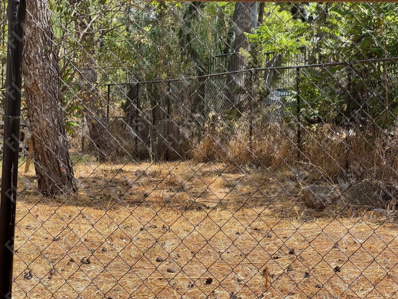 Flash.gr/Γιάννης Κέμμος