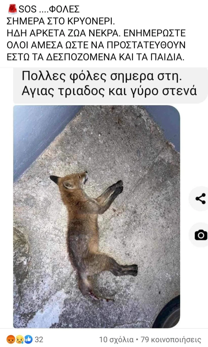 screenshot-1-facebook.jpg screenshot-1-facebook.jpg