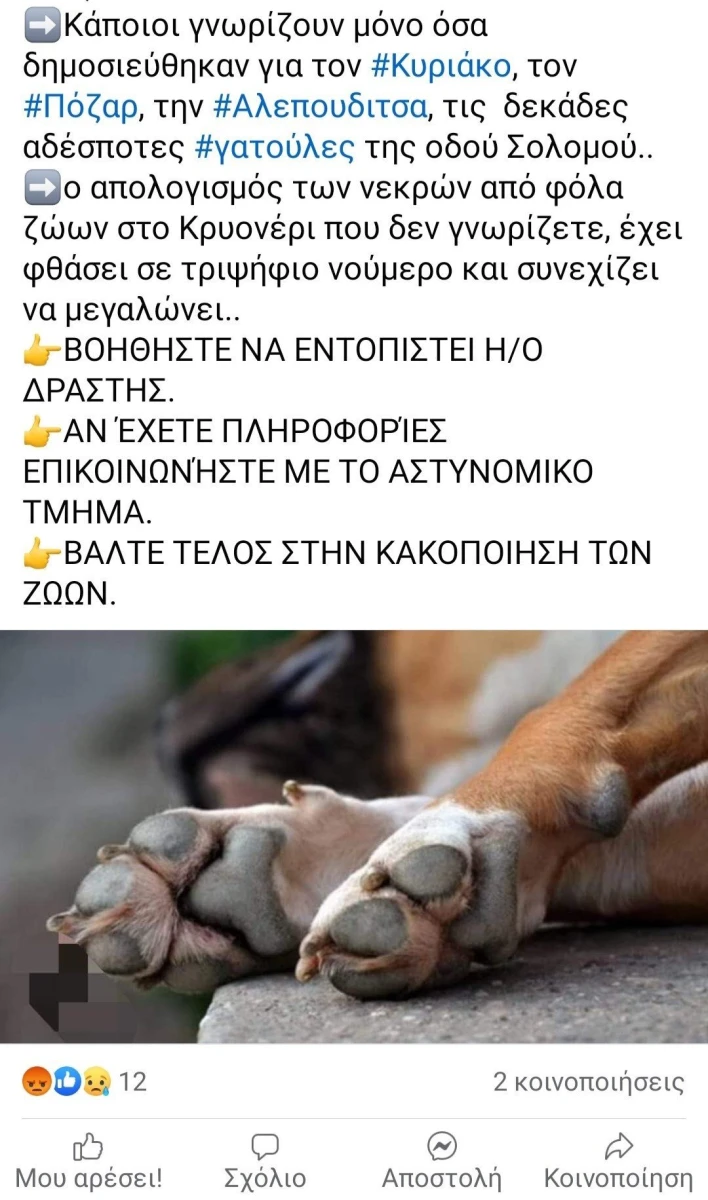 screenshot-5-facebook.jpg screenshot-5-facebook.jpg