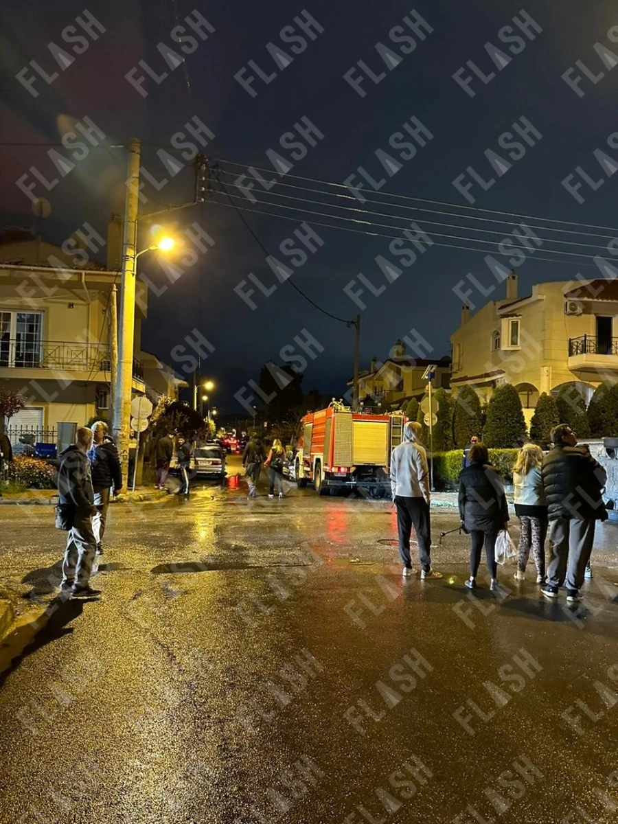 ca13fd74-5bfa-42d8-a50d-a60c3792d920.jpg?v=0