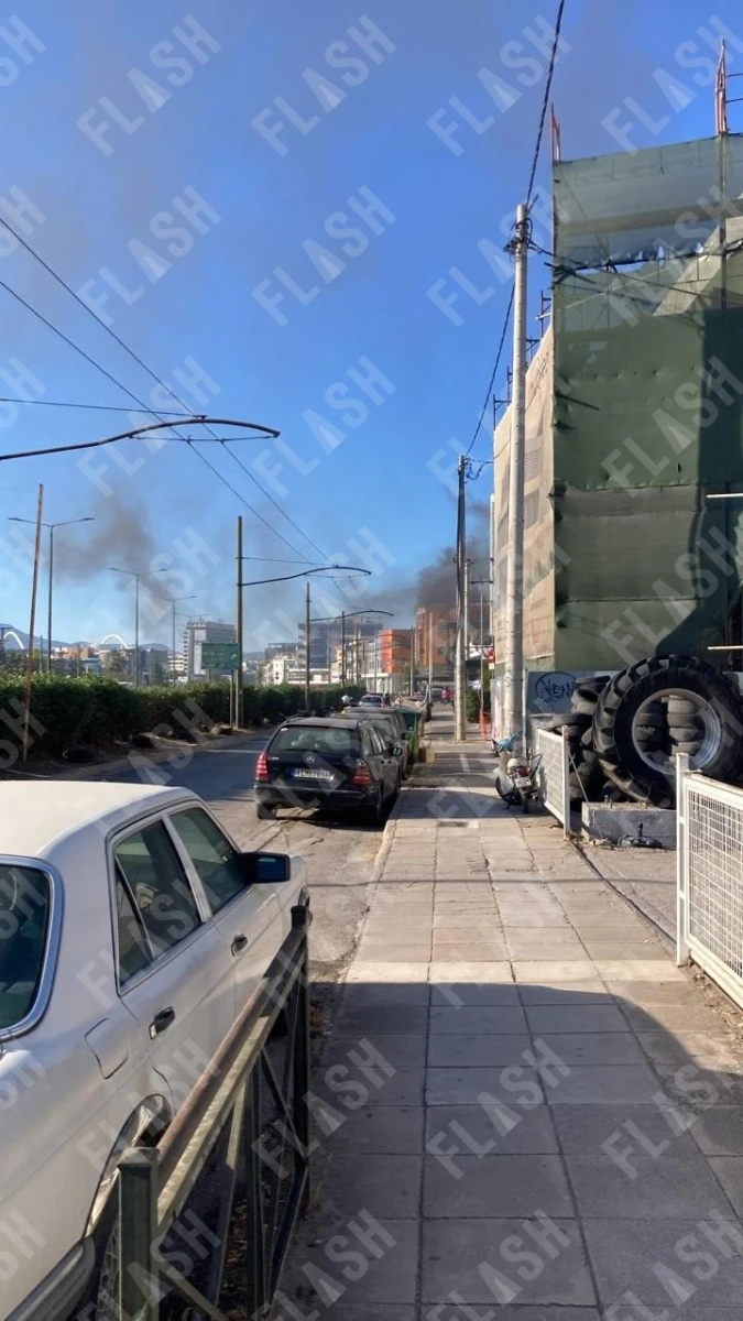 d76e30a5-4697-42aa-a316-669ee335cadf.jpg?v=1