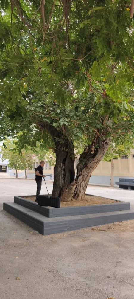 Φωτό: ΑΠΕ-ΜΠΕ