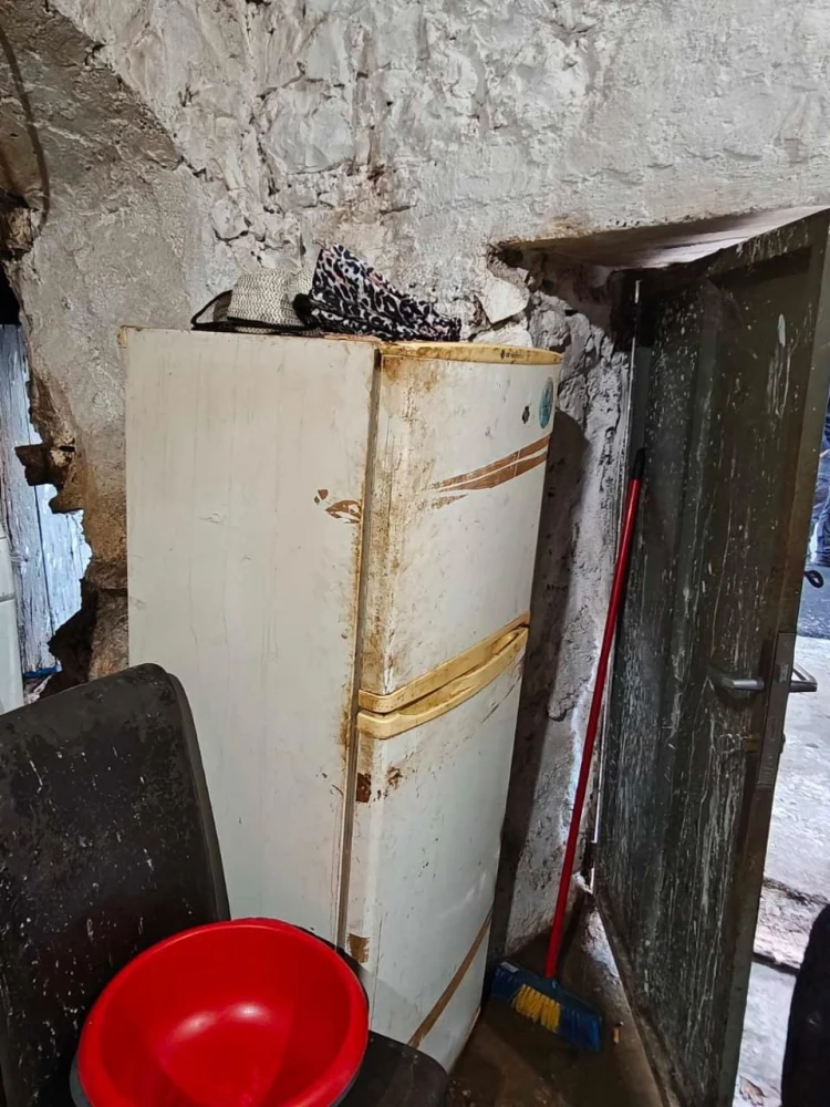 whatsapp-image-2025-10-08-at-174317.jpeg?v=0